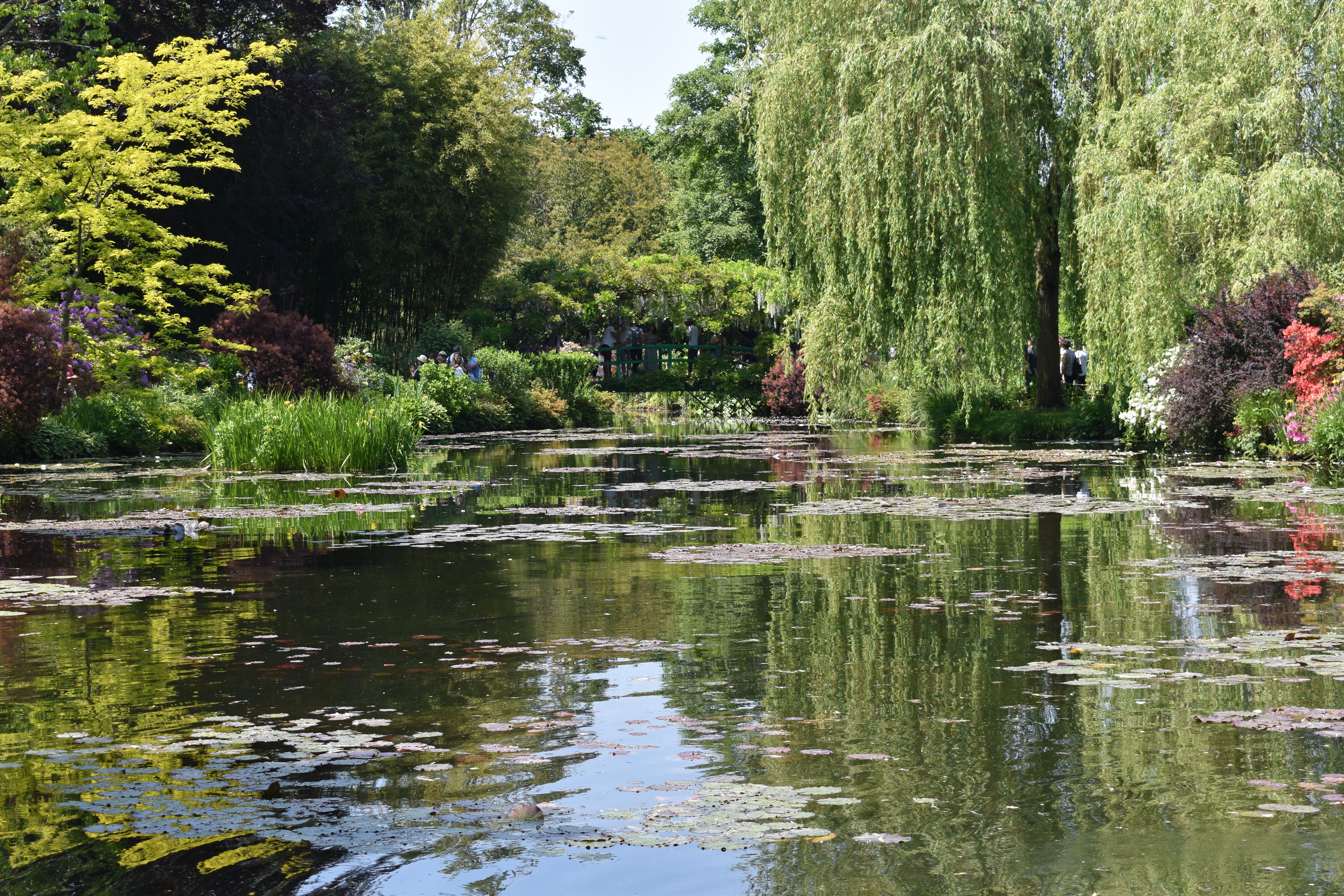 Waterlily pond in Giverny